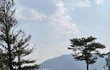 양산 원동 ㅈㅁㄷ에서 있었던 일