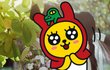 셀프웨딩사진 찍을만한 곳 추천 부탁드려요