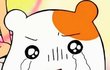 나 몸매 ㄹㅇ억울해