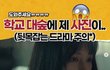 인스타보고 실제 얘기인줄..