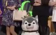 서울대 진짜 별거 아님??