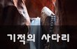 기적의 사다리~