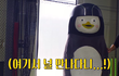 펭수 타조랑 대결함!