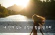 내 안에 있는 긍정의 힘을 믿으라~