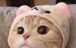 눈화장 배울수있을까?
