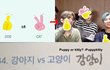 오늘도 탕평 방탄지민ㅋㅋㅋㅋ