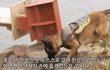 한강 의대생 사건 시신유기하는 장면처럼 보이는거 나왔어