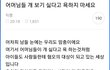 지금 맘카페에서 논란이 되고 있는 글, 맘충vs개빠