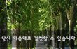 당신 마음대로 결정할 수 있습니다~