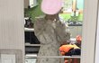 야 나 실수로 치마 벗고 학교 감 ㅠㅠ ㄹㅇ