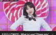 헐 트와이스 이거 진심 미친거아니야?