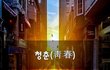 청춘(靑春)~