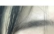 마스카라 나만 ㅈㄴ안돼?