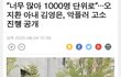 와 대박