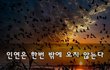 인연은 한번 밖에 오지 않는다~
