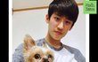 현시각 반려견 학대하고 파양했다는 태권도 선수 이대훈 정리