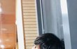 엔하이픈 선우 아이돌 되기 위해 태어난가봐