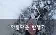 아름다운 반창고~