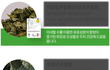 탈모 특허성분, 그 불편한 진실