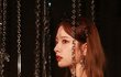 로판재질 본진짤 공유해줘