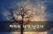 차라리 내가 낫구나~