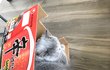 신라면 + 고양이 = ? 냥이들은 박스를 참 좋아해요~!