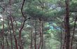 오빠아 00씨