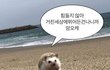 21수능 본 02가 말하는 수능 시뮬‼️‼️