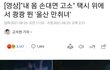 진짜 한남 개 민폐인듯;;