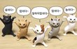우리나라 웹툰 문제점 써봄