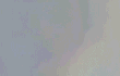 너네 아직도 지수 좋아함?? ;;;;;;;;