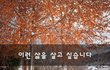 이런 삶을 살고 싶습니다~