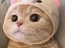 야 이거 비밀인데