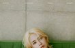 세븐틴 극보수 두명이 저러고 있다는게