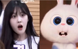 아이돌 그룹마다 한명씩 있다는 토끼상 연습생