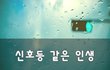 신호등 같은 인생~