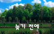 늦기 전에~