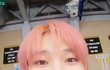 핑크 아기