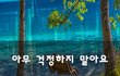 아무 걱정하지 말아요~