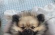 오늘의 톡