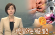 비만세균은 있다? 없다?