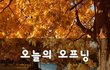 오늘의 오프닝~