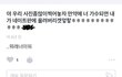 카리나 판 했었어?