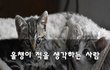 올챙이 적을 생각하는 사람~