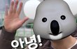 귀여운코알라 짤