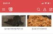 우리집 고양이 보고가 !!