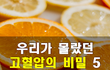 우리가 몰랐던 고혈압의 비밀