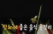 당뇨에 좋은 음식 총정리