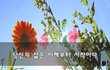 당신의 삶은 이제부터 시작이다~