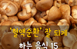 혈액순환 잘 되게 하는 음식